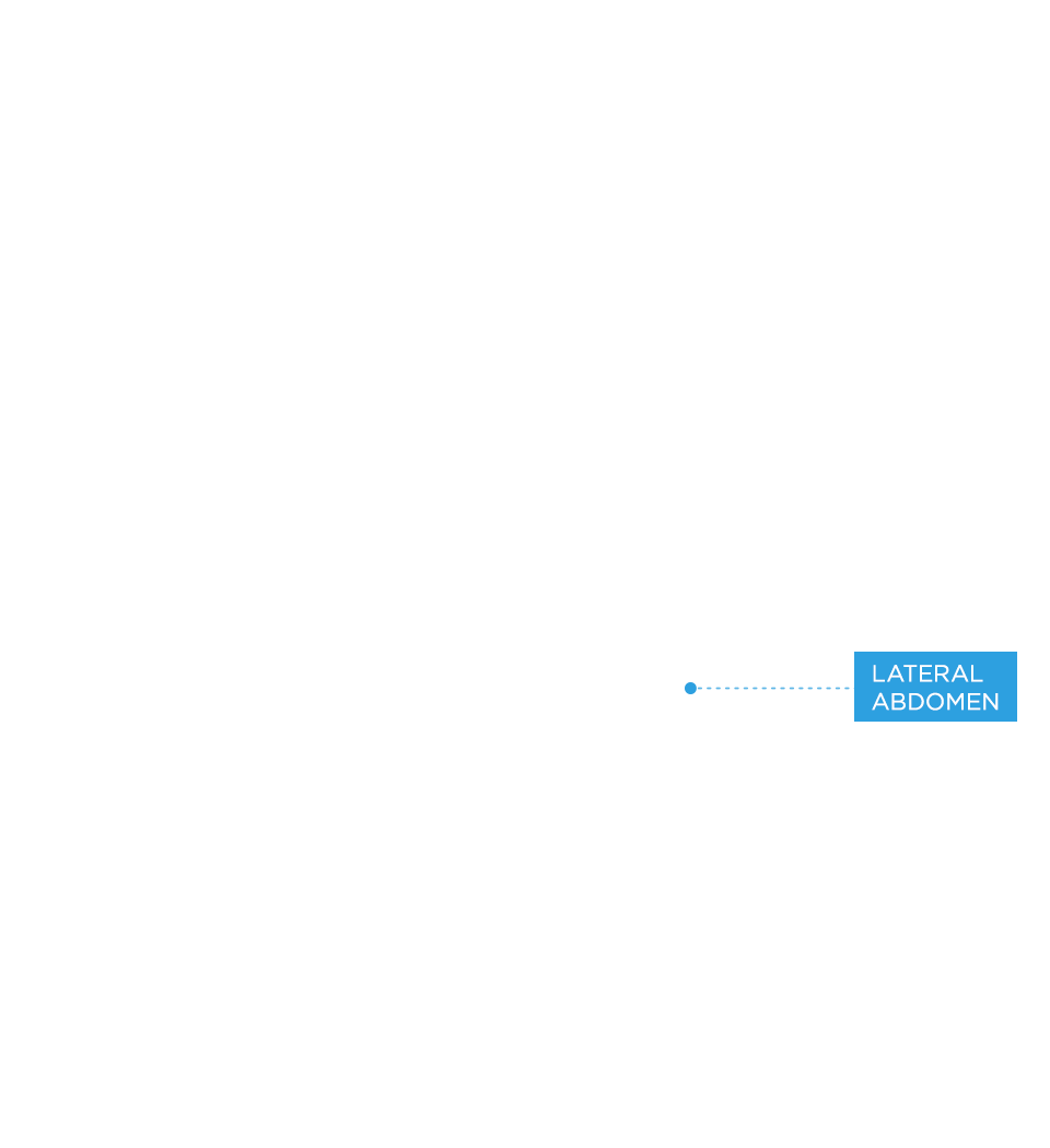 Lateral Abdomen